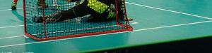 floorball13