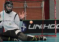 floorball21