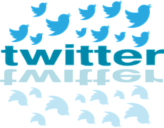 twitter-720970__180