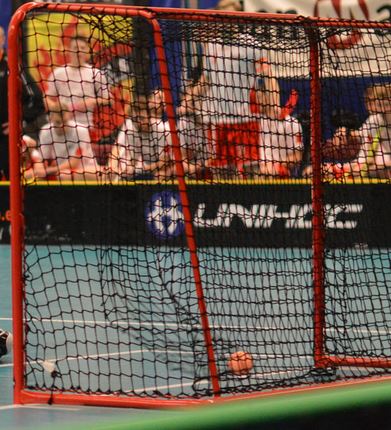 floorball173