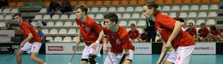 cropped-blog-floorball-vm-kval-2018-lauridsen-skov-roland-nygaard1.jpg